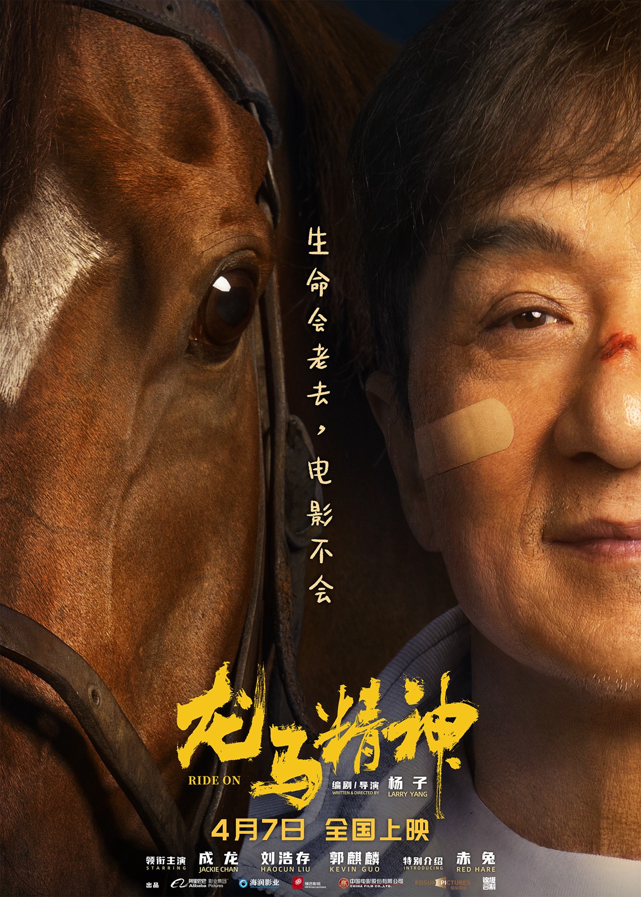 非线性导演剪辑